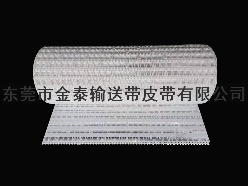 塑膠輸送網帶
