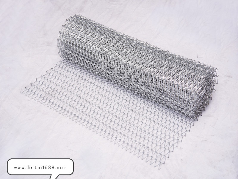 鏈條式網(wǎng)帶